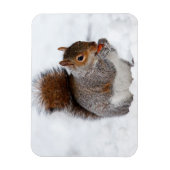 Squirrel Magnet (Vertikal)