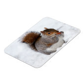 Squirrel Magnet (Linke Seite)
