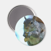 Squirrel Magnet (Vorderseite/Rückseite)
