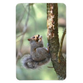 Squirrel Magnet (Vertikal)