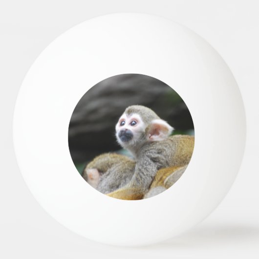 squirrel-monkey-39.jpg tischtennisball (Vorderseite)