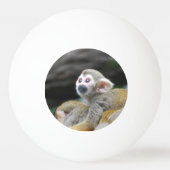 squirrel-monkey-39.jpg tischtennisball (Rückseite)