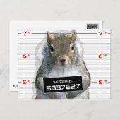 Squirrel Mug Shot Postkarte (Vorne/Hinten)