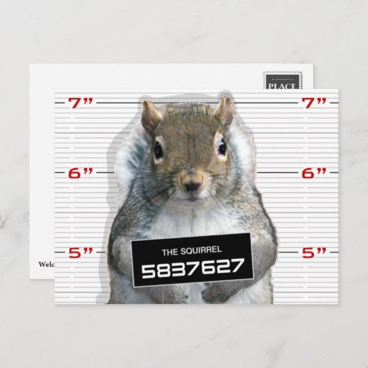 Squirrel Mug Shot Postkarte (Vorne/Hinten)
