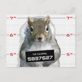 Squirrel Mug Shot Postkarte (Vorderseite)