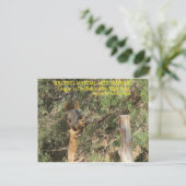 Squirrel Nnja Training Tipps Postkarte (Stehend Vorderseite)