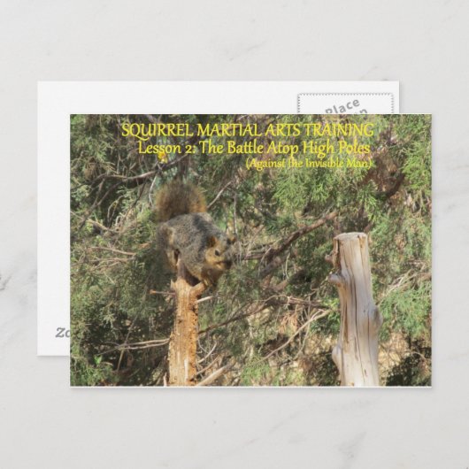 Squirrel Nnja Training Tipps Postkarte (Vorne/Hinten)