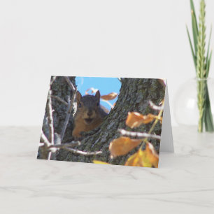 Squirrel Notecard Karte
