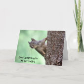 Squirrel On a Tree Karte (Vorderseite)