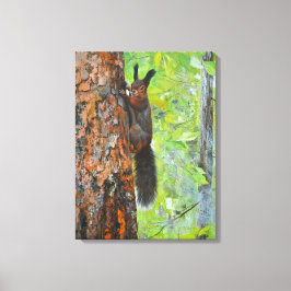 Squirrel on Pine Tree – Realistic Oil Painting Leinwanddruck