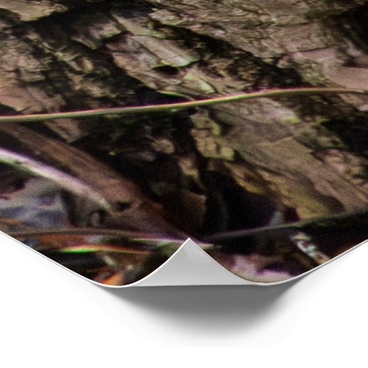 Squirrel on Standby Poster (Ecke)