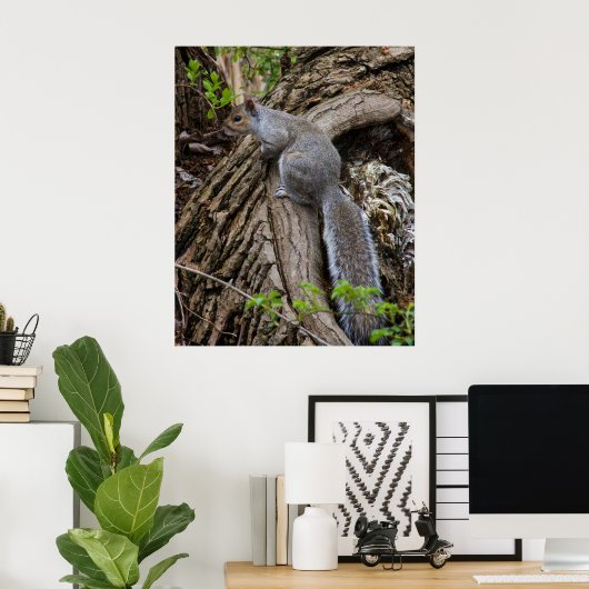 Squirrel on Standby Poster (Heimbüro)