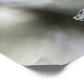 Squirrel Perched on a Tree Branch Poster (Ecke)