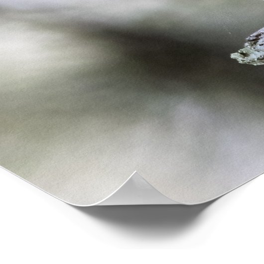 Squirrel Perched on a Tree Branch Poster (Ecke)