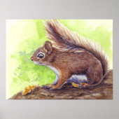 Squirrel Poster (Vorne)