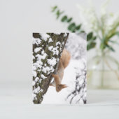 Squirrel Postkarte (Stehend Vorderseite)