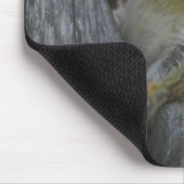 Squirrel Raiding Bird Feeder with Your Initials Mousepad (Ecke)