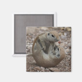 Squirrel Rumble Magnet (Vorderseite/Rückseite)