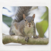 Squirrel Selfie Mousepad (Vorne)
