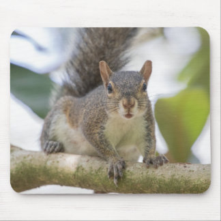 Squirrel Selfie Mousepad