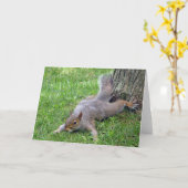 Squirrel Splat Greeting Card Karte (Gelbe Blume)