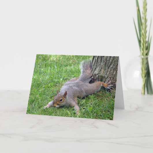 Squirrel Splat Greeting Card Karte (Vorderseite)