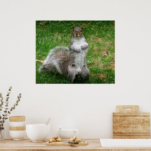 Squirrel Standing Poster (Küche)