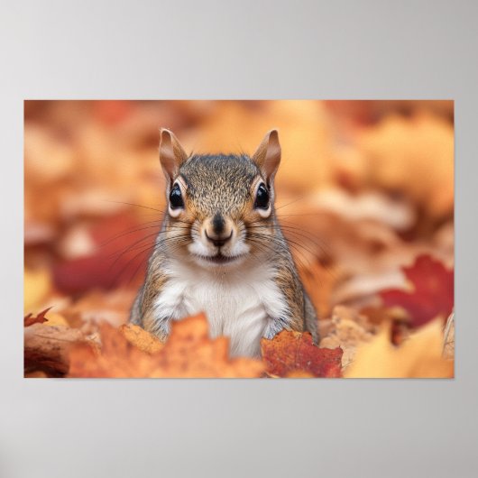 Squirrel Wild Animal Loving Portrait  Poster (Vorne)