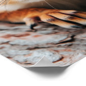 Squirrel Wild Animal Loving Portrait  Poster (Ecke)