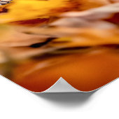 Squirrel Wild Animal Loving Portrait  Poster (Ecke)