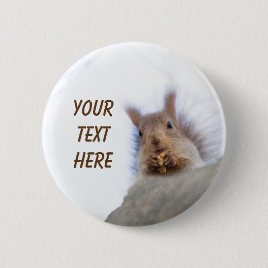 Squirrel with a walnut button (Vorderseite)