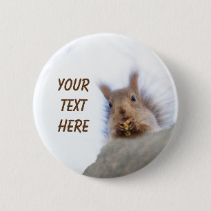 Squirrel with a walnut button
