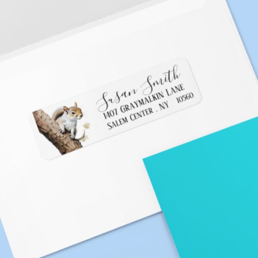 Squirrel Woodland Script-Adresse