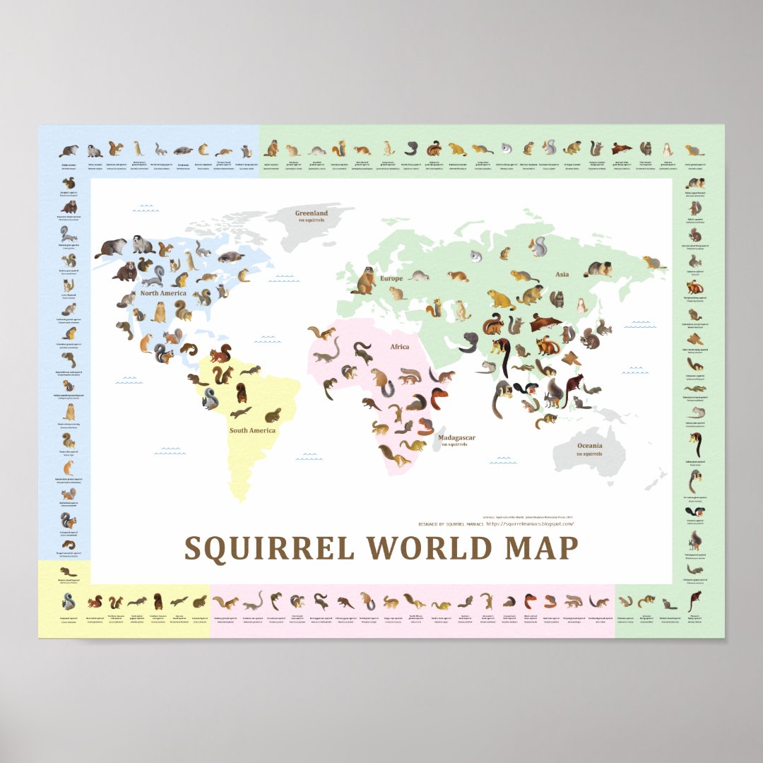 Squirrel World Map Poster Zazzle.de