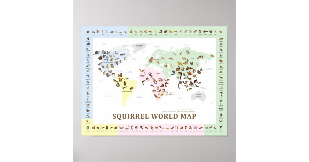 Squirrel World Map Poster Zazzle.de