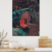 Squirrelfish Portrait Poster (Küche)