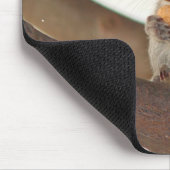 squirrelfriend mousepad (Ecke)