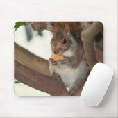 squirrelfriend mousepad (Mit Mouse)