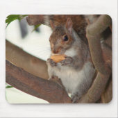 squirrelfriend mousepad (Vorne)