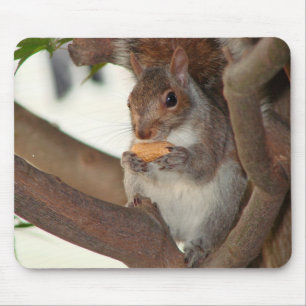 squirrelfriend mousepad