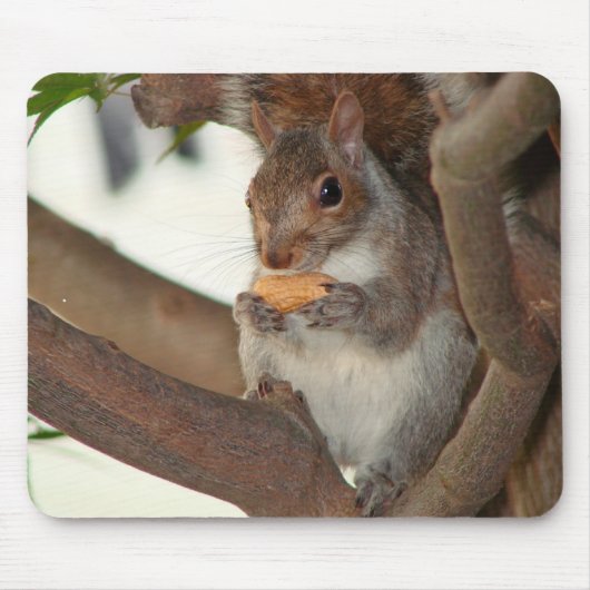 squirrelfriend mousepad (Vorne)