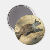 Squirrell Magnet (Vorderseite/Rückseite)