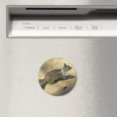 Squirrell Magnet (In Situ (Geschirrspüler))