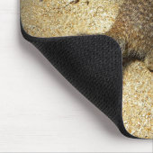 Squirrell Mousepad (Ecke)