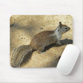 Squirrell Mousepad (Mit Mouse)