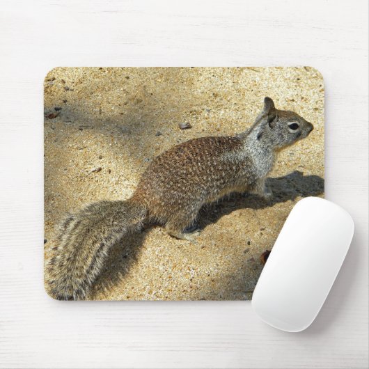 Squirrell Mousepad (Mit Mouse)