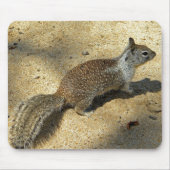 Squirrell Mousepad (Vorne)