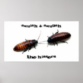Squish & Squash, The Hissers Poster (Vorne)