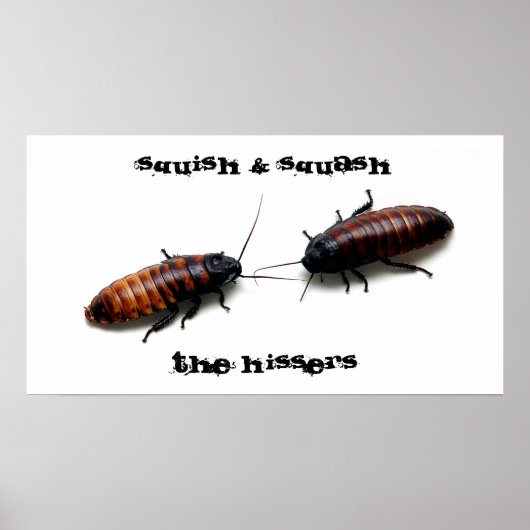 Squish & Squash, The Hissers Poster (Vorne)