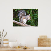 Squrrel Eating Brot Poster (Küche)